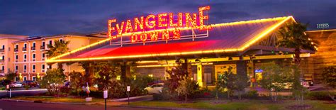 Evangeline Picks .